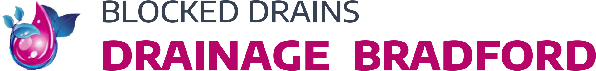 website logo
